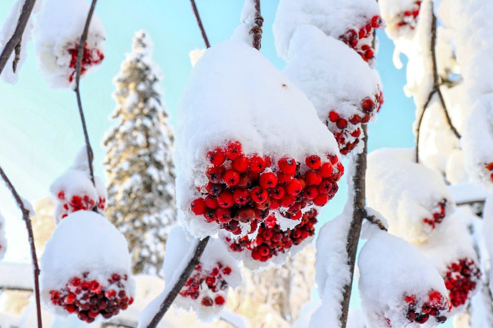 Photograph by Лилия Васильева