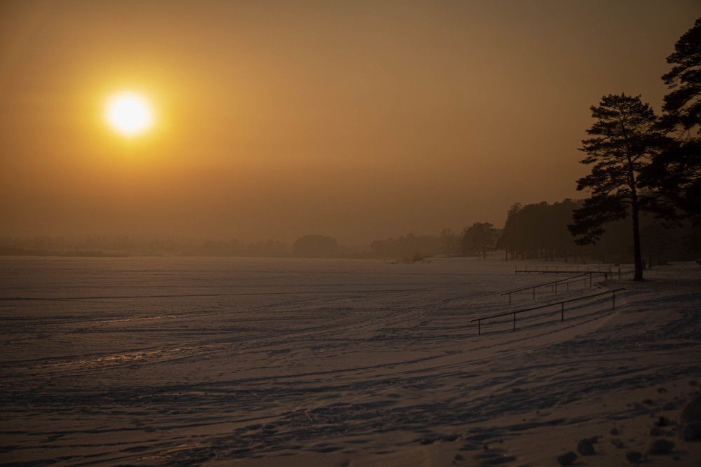 Photograph by Alexander Cerepanov