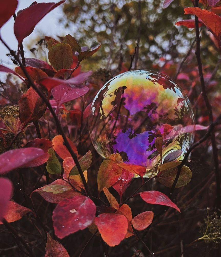 Фотография автора Anna