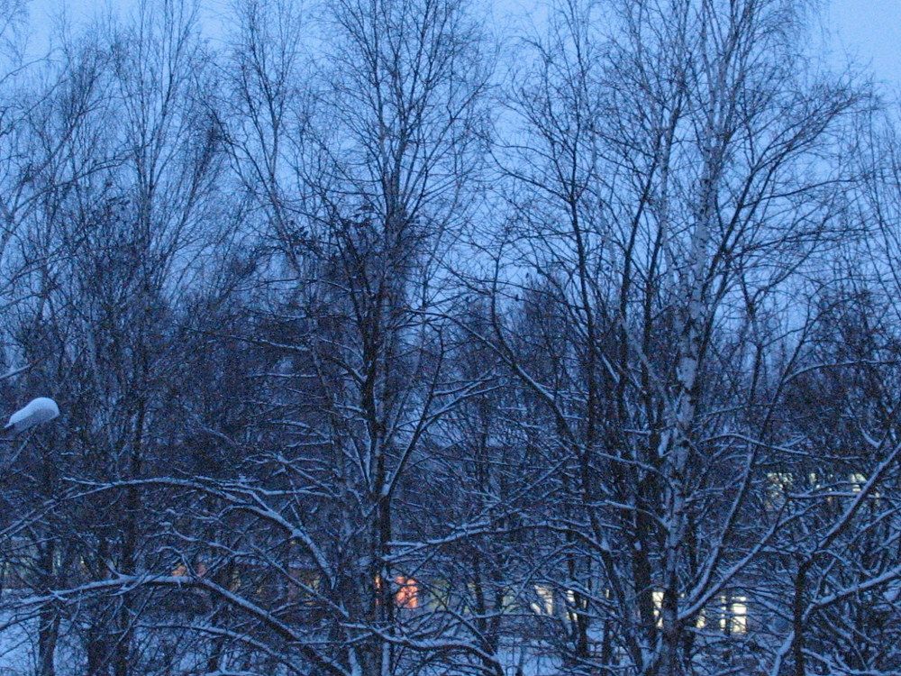 Фотография автора Нина Калинина