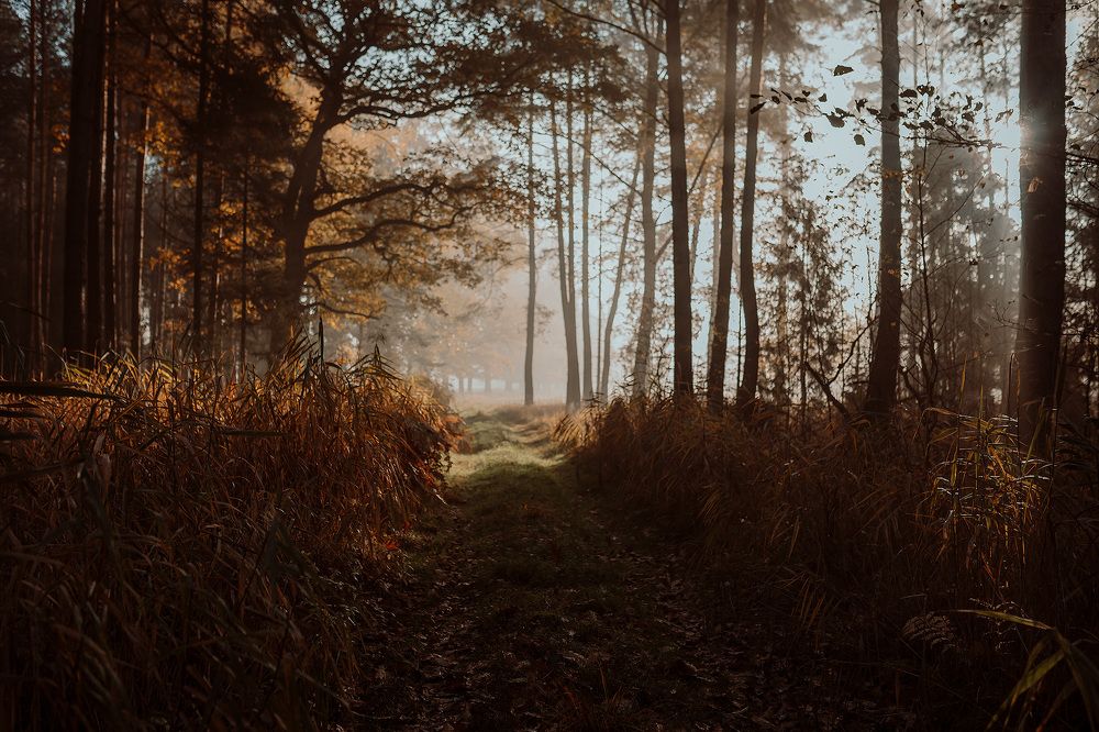 Photograph by Karolina Drab