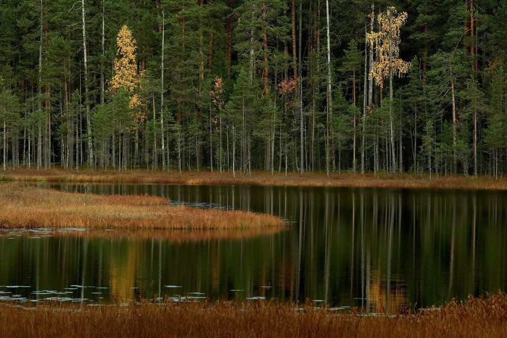 Фотография автора Siergiejevicz Mihail