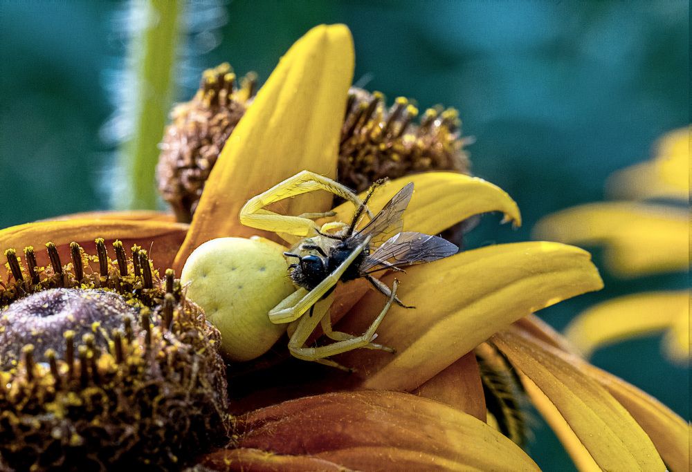 Photograph by Александр Стрельченко