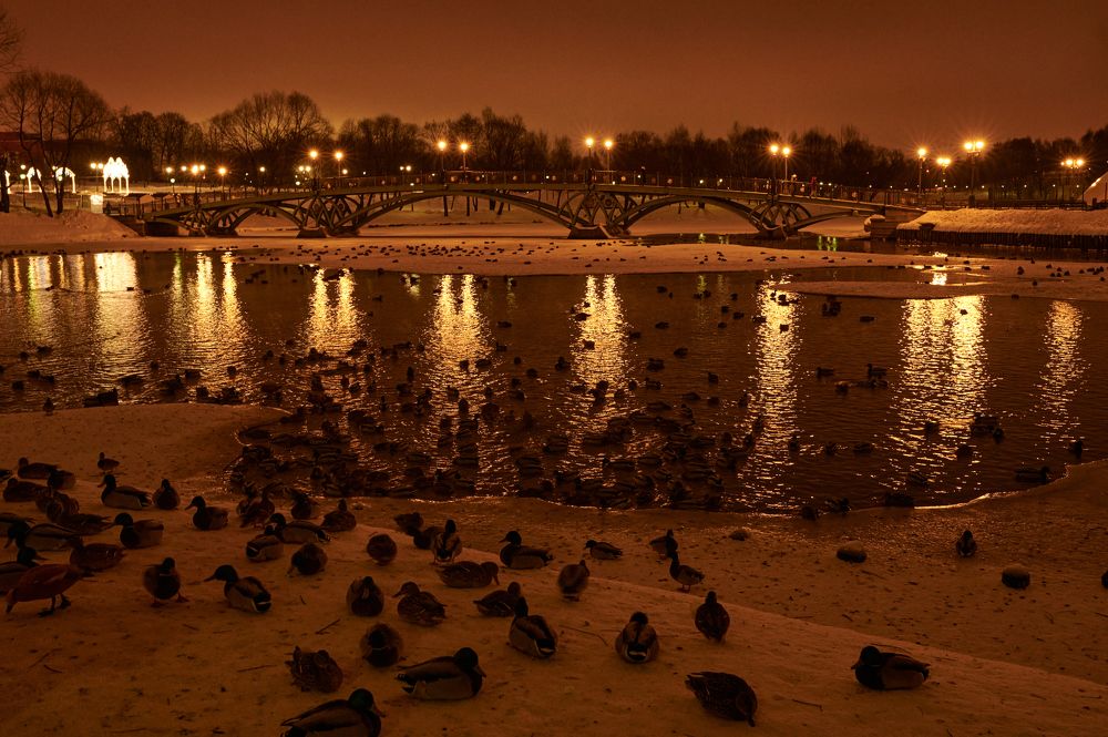 Photograph by Артём Терещенко