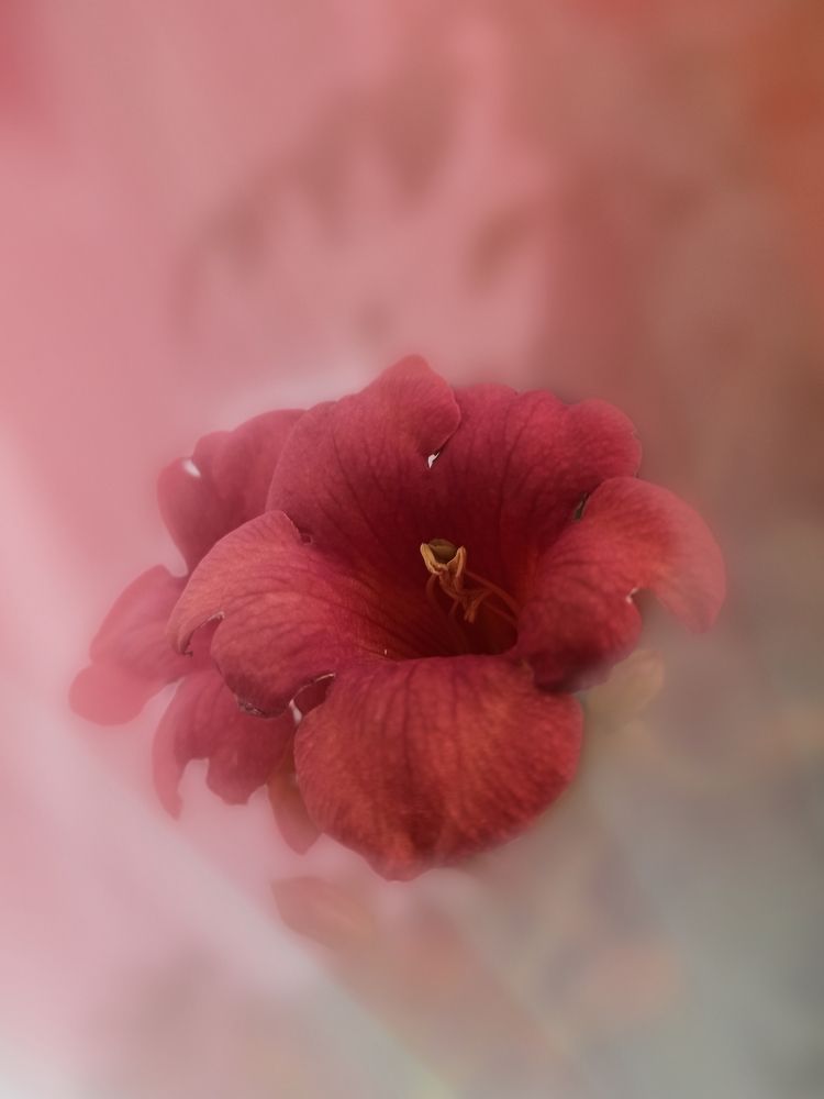 Photograph by Akhoondi Hannaneh