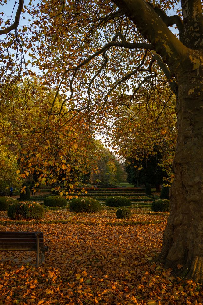 Photograph by Александр Васин