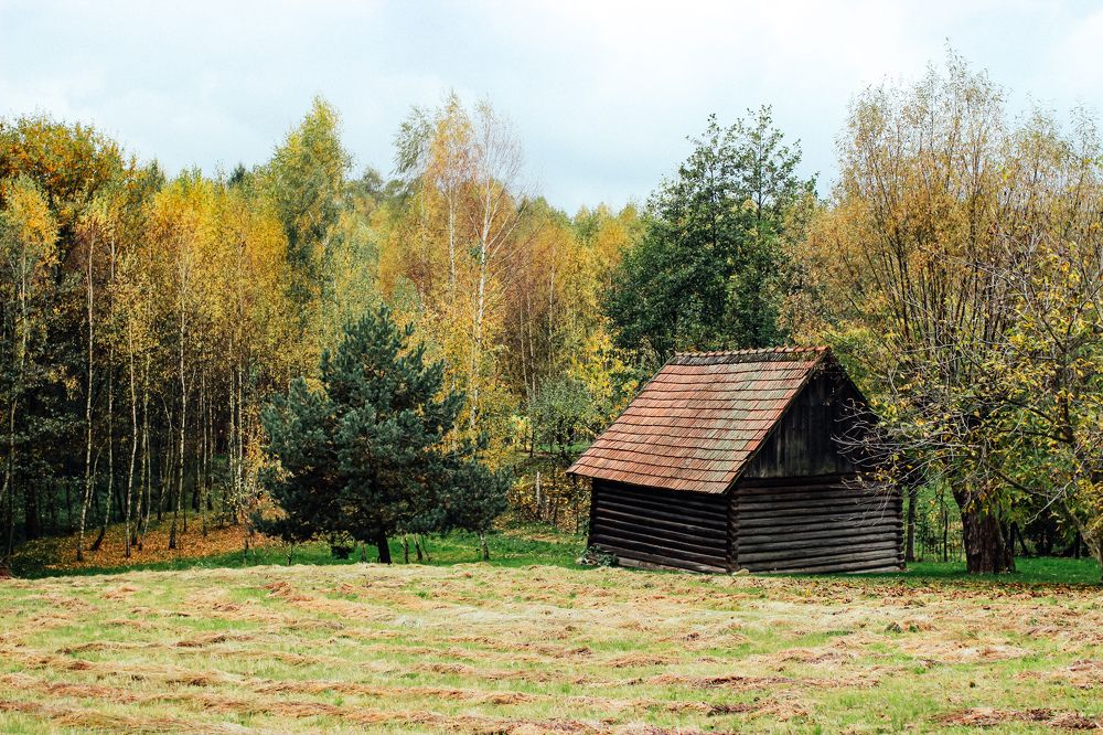 Photograph by Юлия Белозёрова