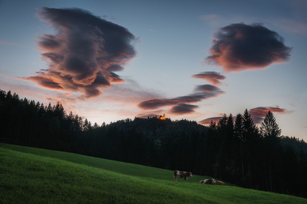 Photograph by Василий Яковлев