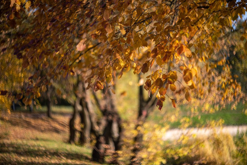 Photograph by Виктор