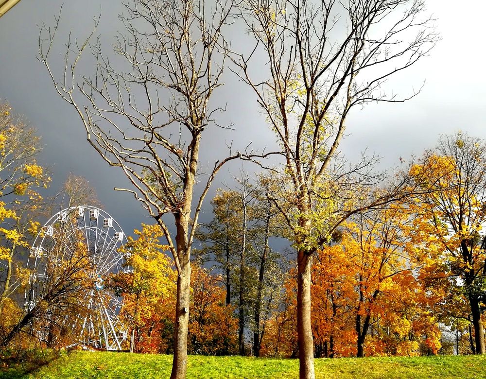 Photo #8259049