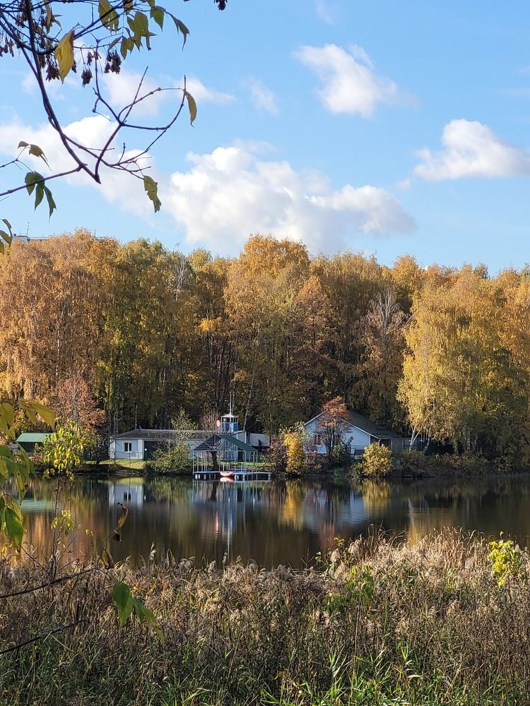 Photograph by Алена Шепель