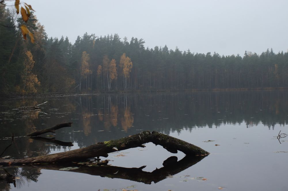 Photograph by Иван Скрипкин