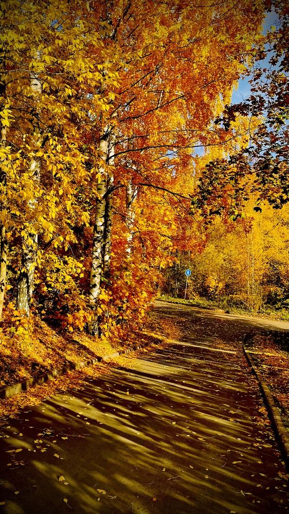 Фотография автора Илья Черемнов