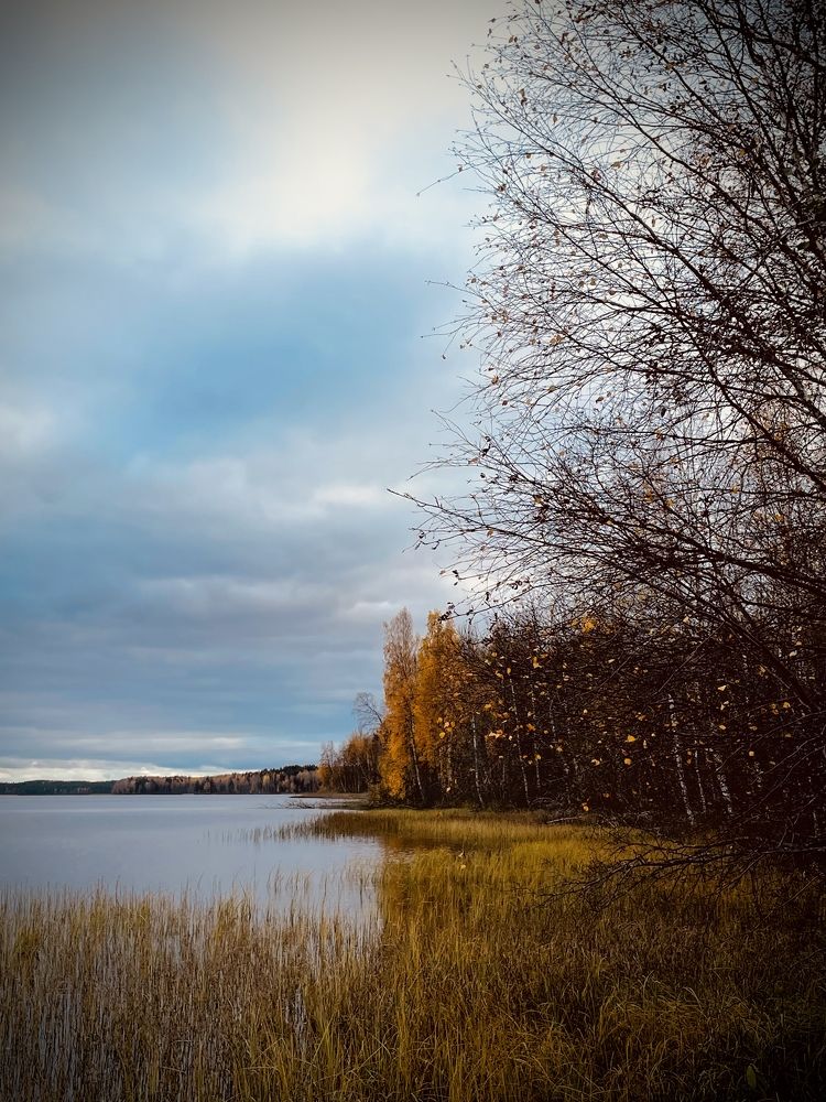 Фотография автора Илья Черемнов