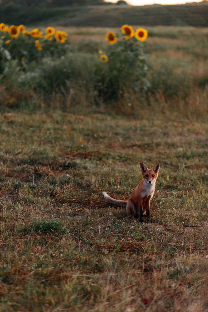 Photograph by Марина Миронова