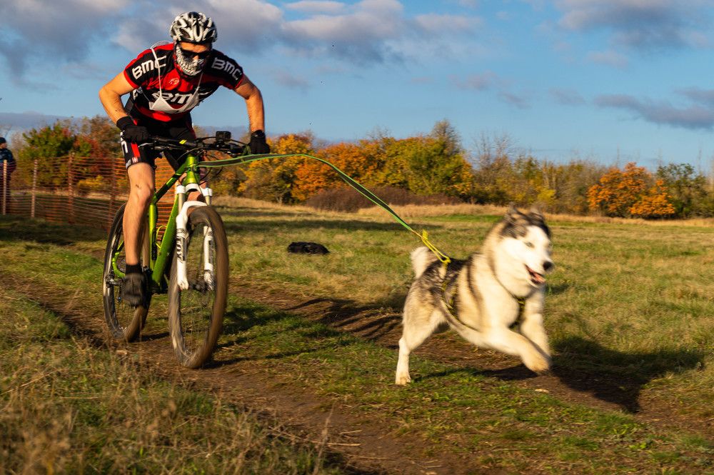 Photograph by Vlad Proshin