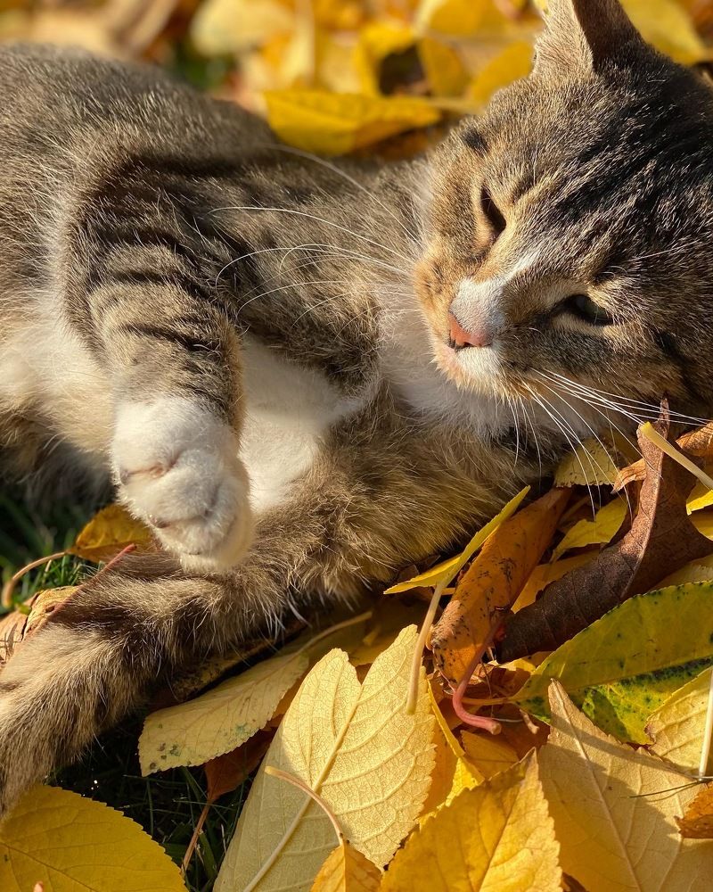 Photograph by Татьяна Маслова