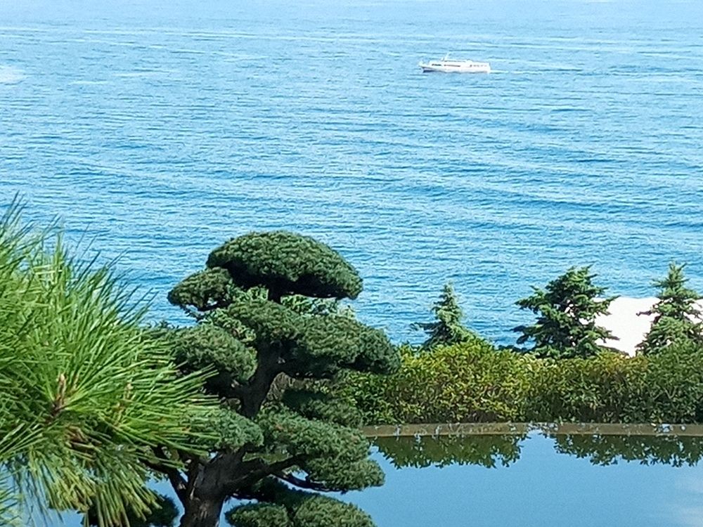 Photograph by Нина Гирнык