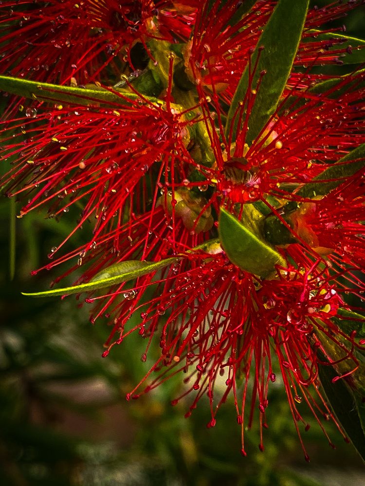 Photograph by Вера Романова