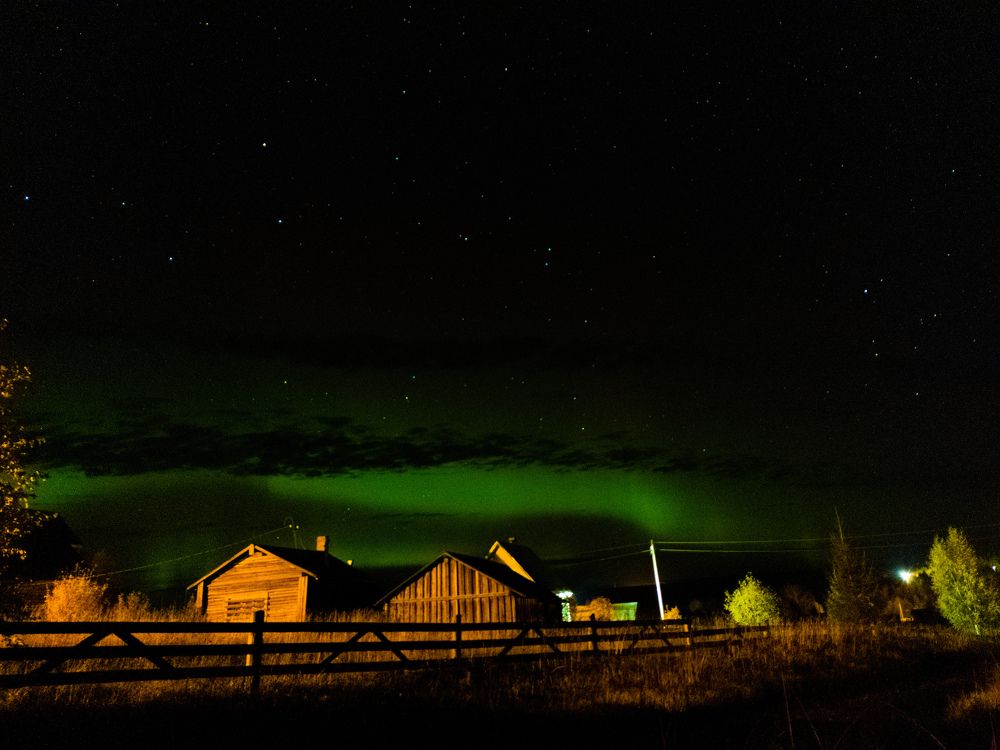 Photo #8259380