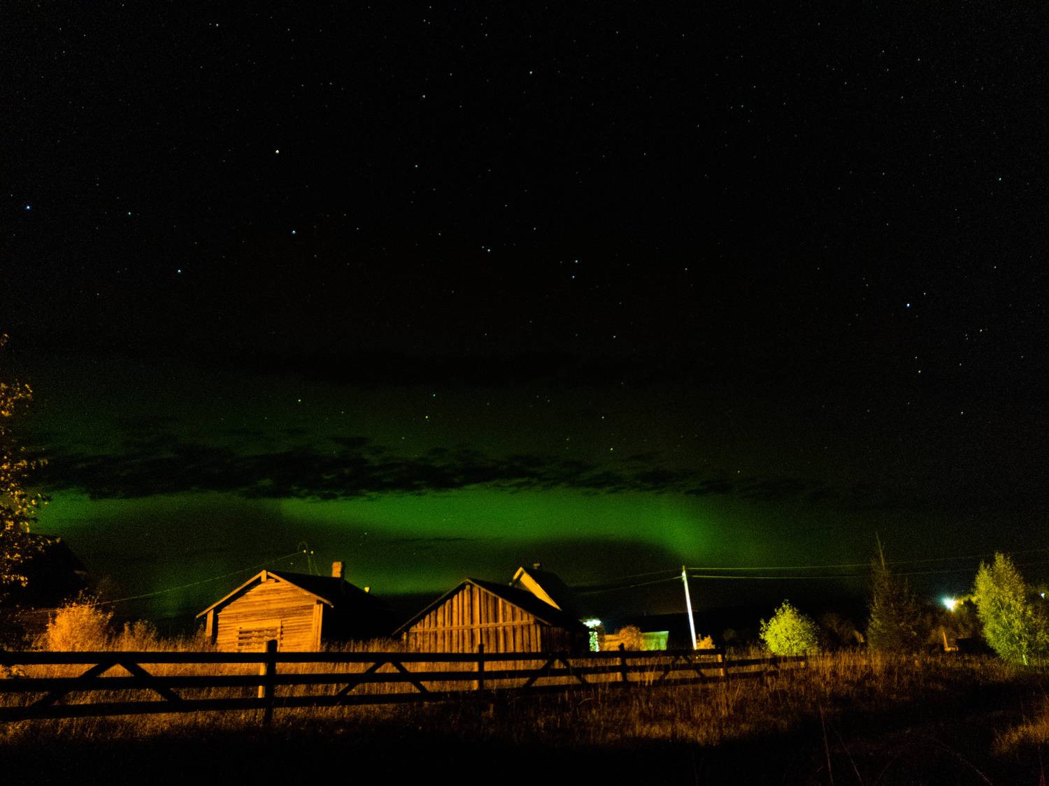 Photo #8259380