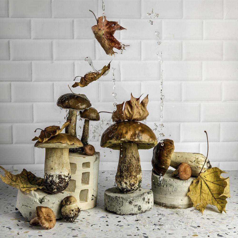 Photograph by Елена Данилушкина