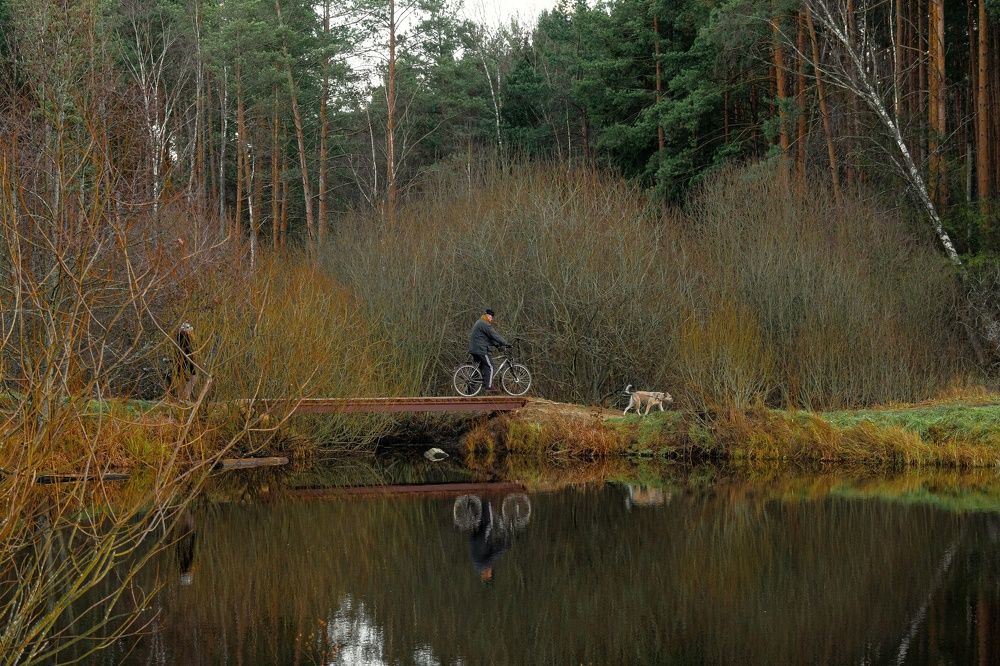 Photograph by Валентина Тагильцева