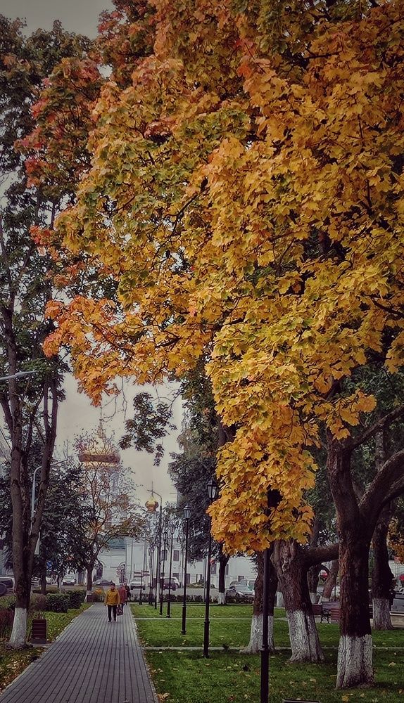 Photograph by Ольга Третьякова