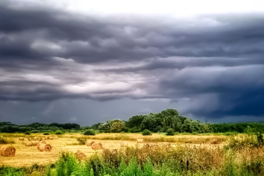 Фотография автора Татьяна Александровна Терехова