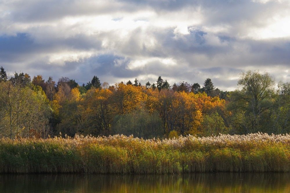 Photograph by Andrei Baburin