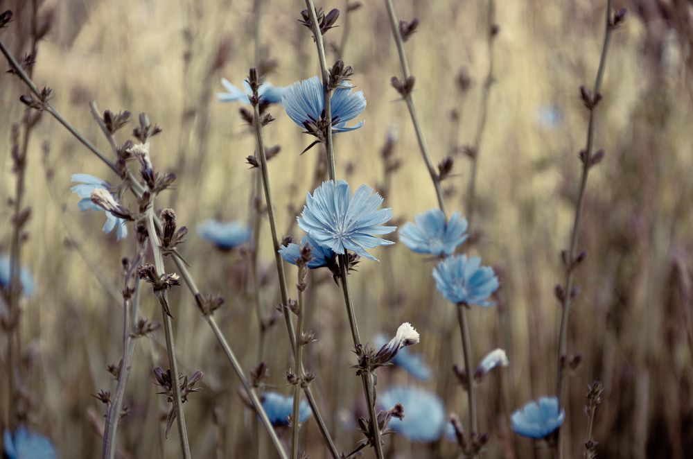 Фотография автора Войнов Дмитрий