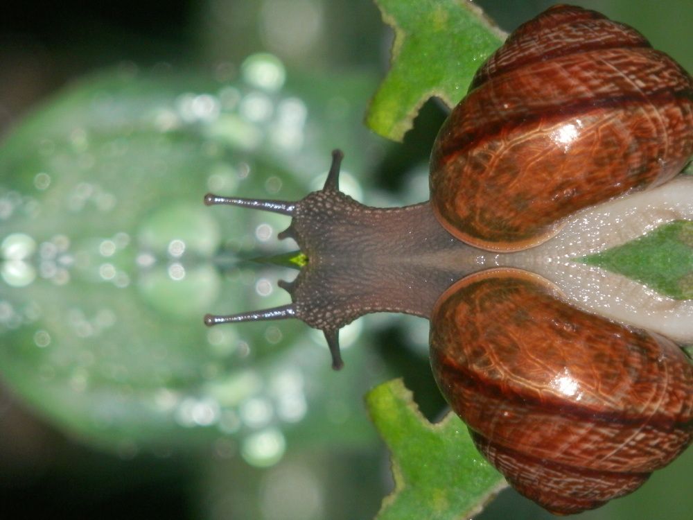 Photograph by Георгий Салюков