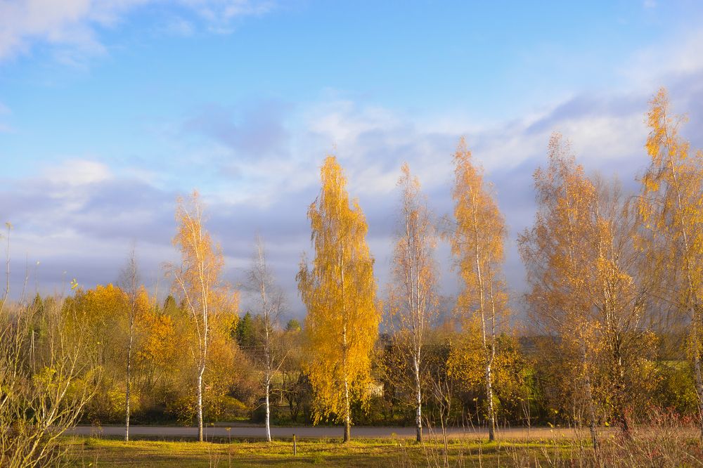 Photograph by Irina Nadolska