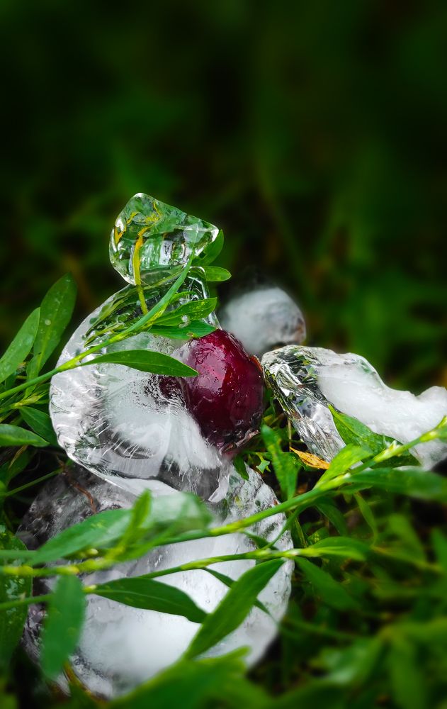 Photograph by Анастасия