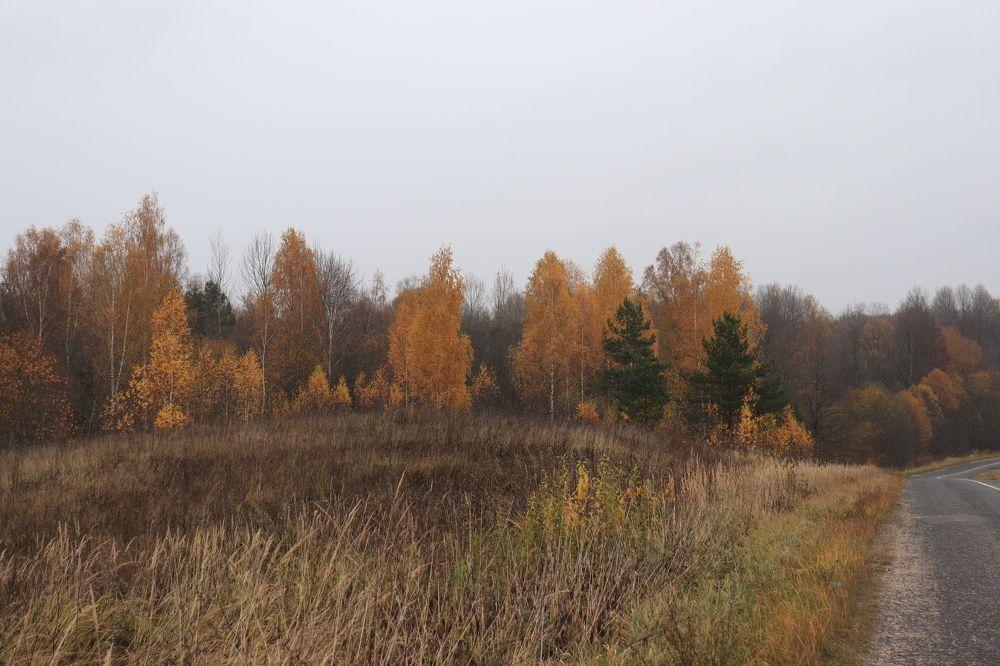 Photograph by Иван Скрипкин