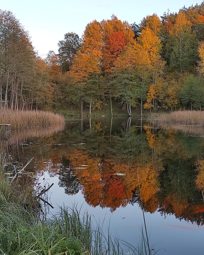 Photograph by Мария Прокопенко