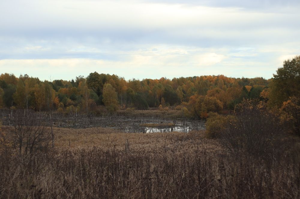 Photograph by Иван Скрипкин