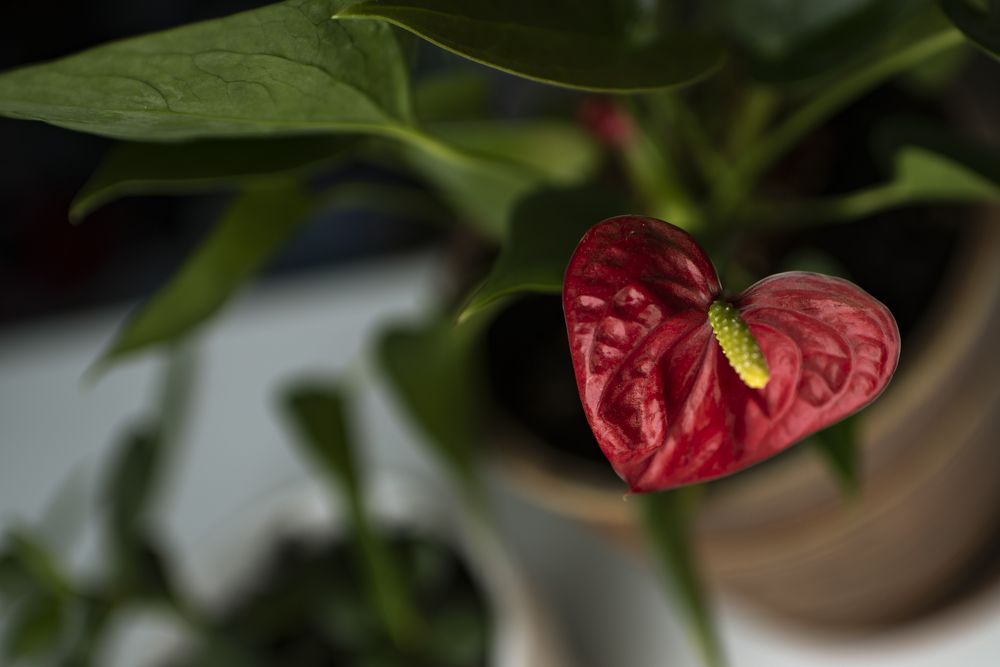 Фотография автора Войнов Дмитрий