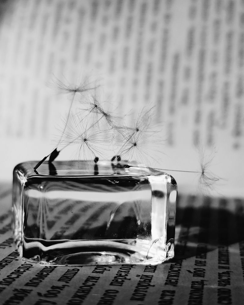 Photograph by Halina Mitsevich