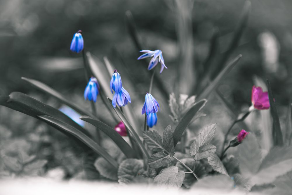 Фотография автора Войнов Дмитрий