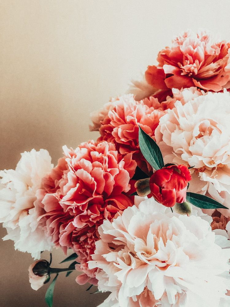 Фотография автора Anna