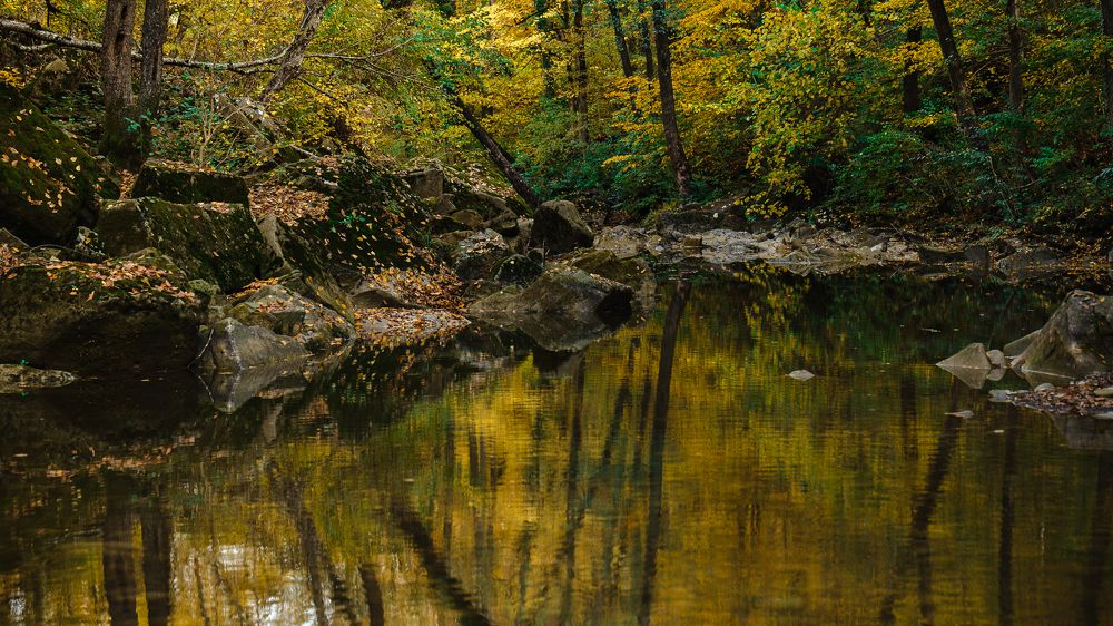 Photograph by Першин Михаил