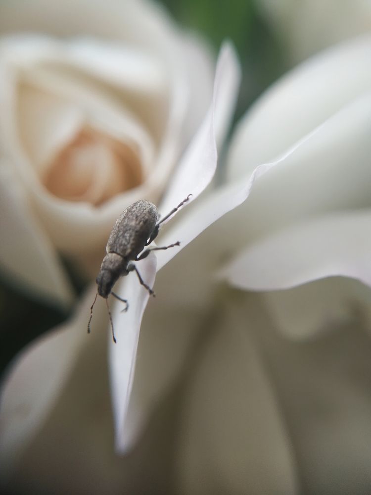 Photograph by Ольга