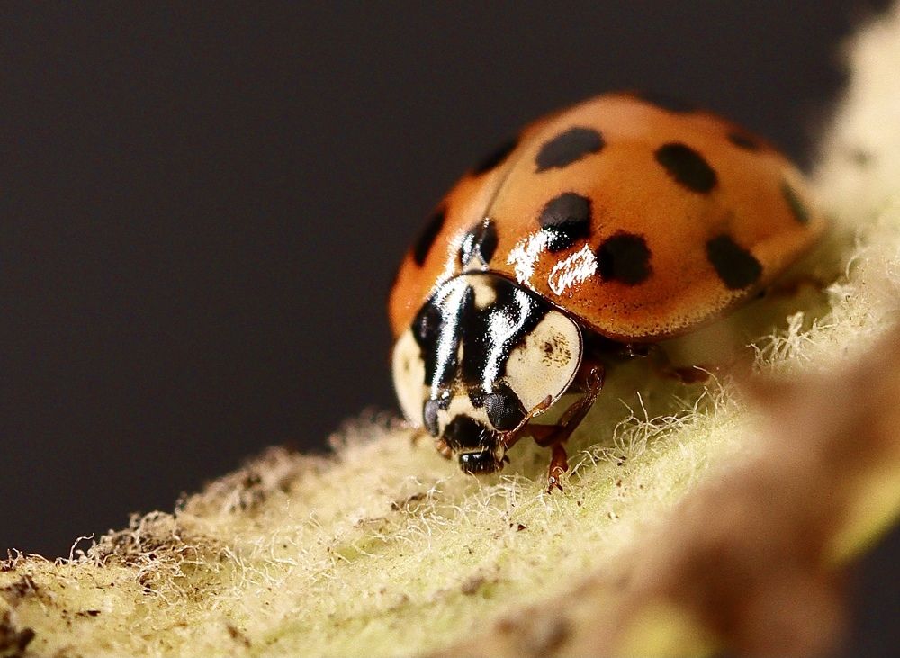 Photograph by Малика Маткарим