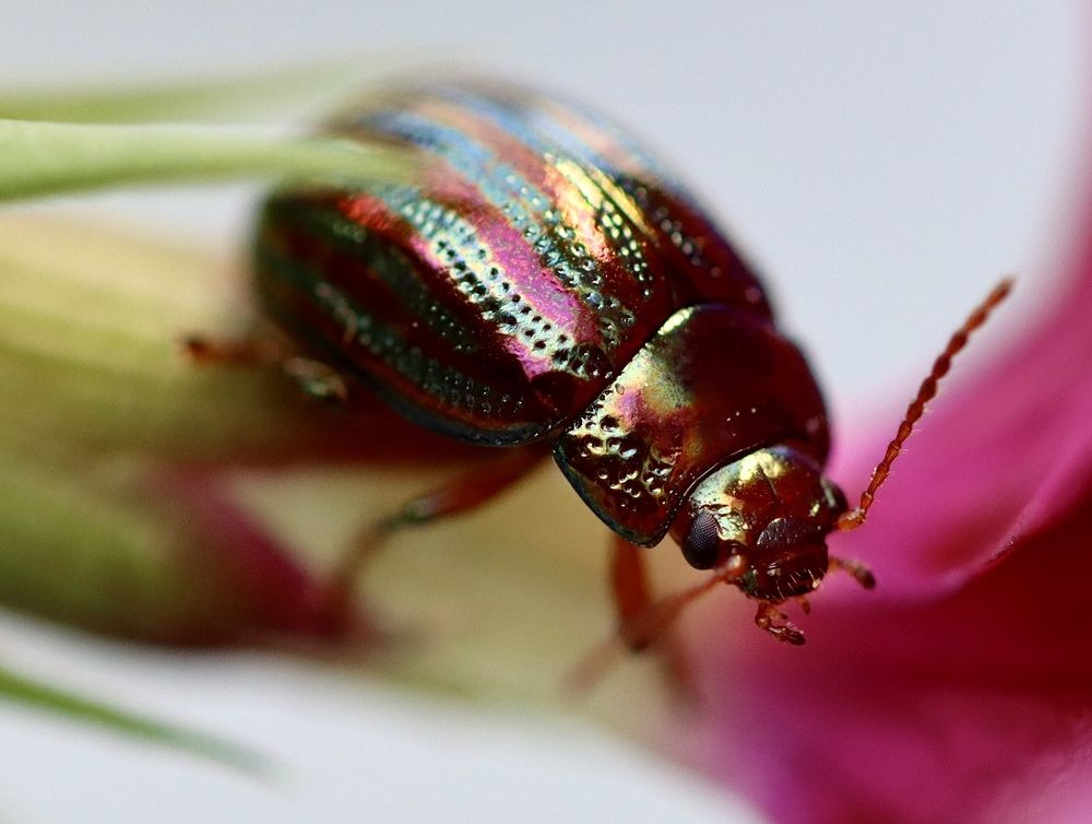 Photograph by Малика Маткарим