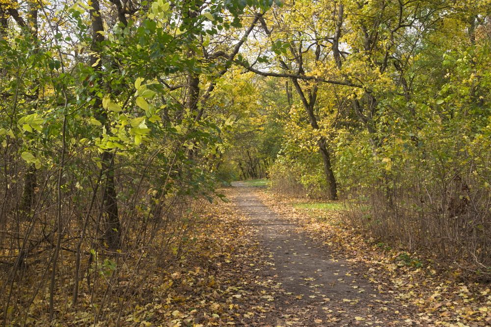 Photograph by Башлаев Константин