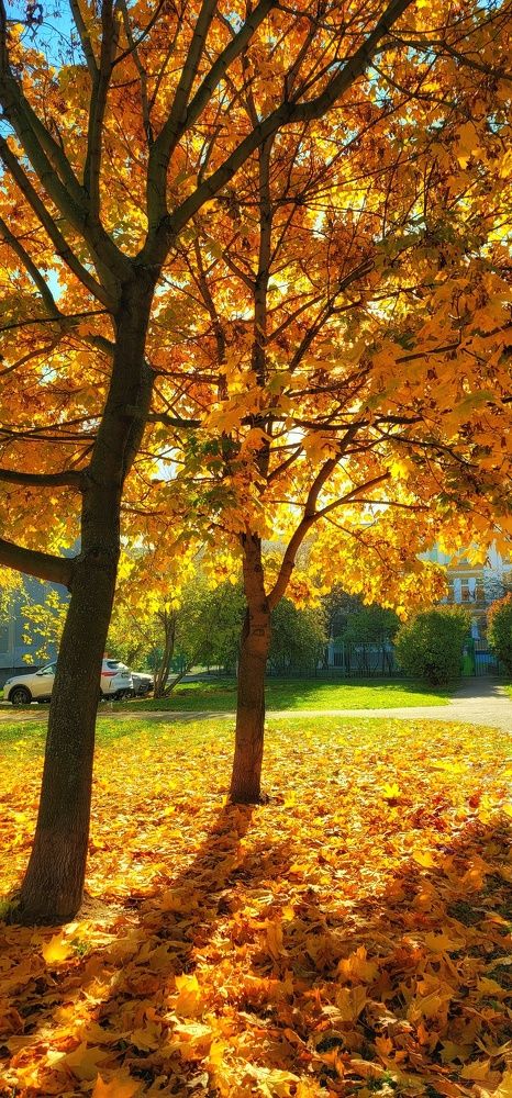 Photograph by Анна Вокуева