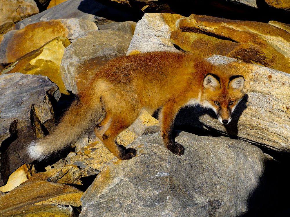 Photograph by Дмитрий Потапов