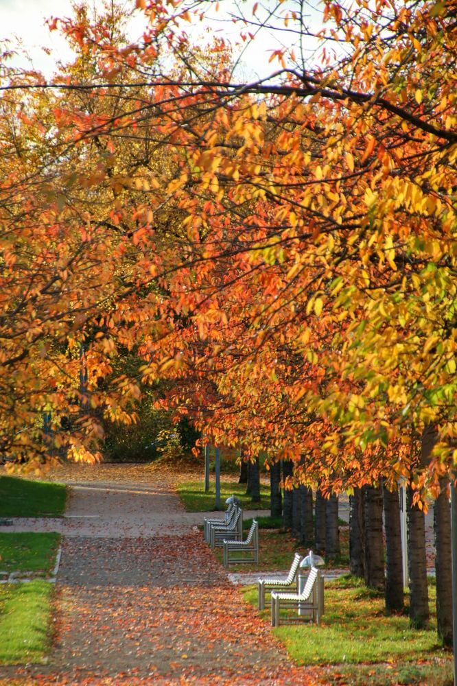 Photograph by Marina Kapstik