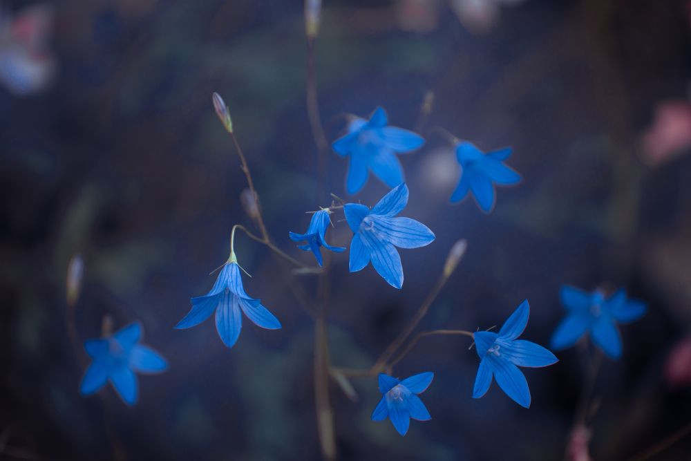 Фотография автора Войнов Дмитрий